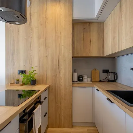 Vip Kopisto Centrum Lägenhet Rzeszów