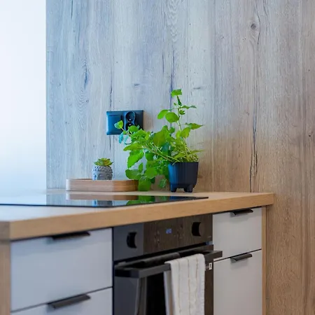 Appartement Vip Kopisto Centrum *