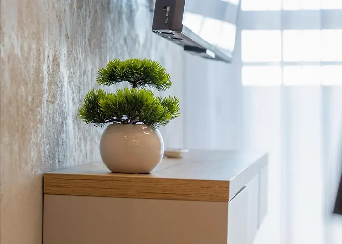 Vip Kopisto Centrum *