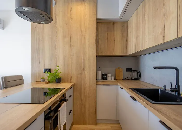 Vip Kopisto Centrum Apartment Rzeszow