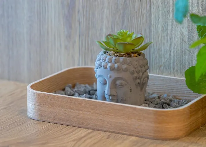 Vip Kopisto Centrum *