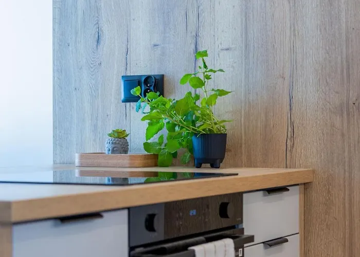 Apartment Vip Kopisto Centrum *